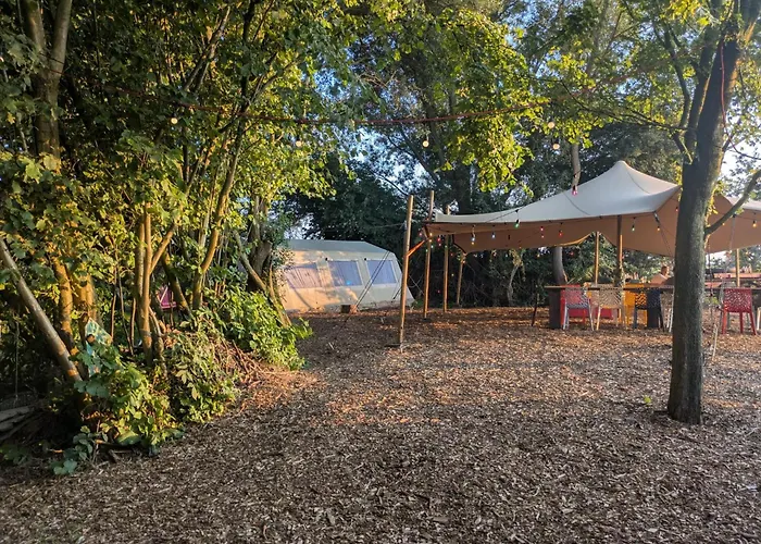 Hotel dichtbij College: Eco-Camping De Helleborus, Yurt, Bell&Safari tent, Pipo, Caravans, Dorms&Units